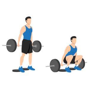 hack squat -barbell